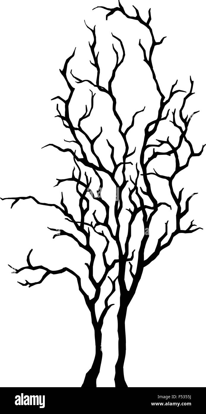 Baum-silhouette Stock Vektor