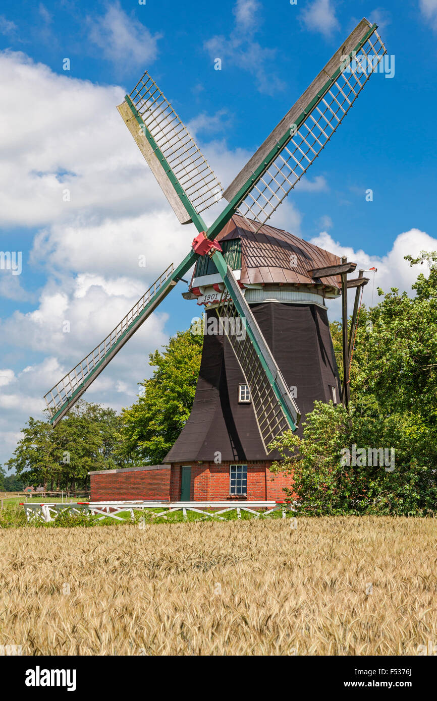 Grainfield Gerste Tjadens Muhle Sudcoldinne Gemeinde Grossheide Ostfriesland Niedersachsen Deutschland Europa Stockfotografie Alamy
