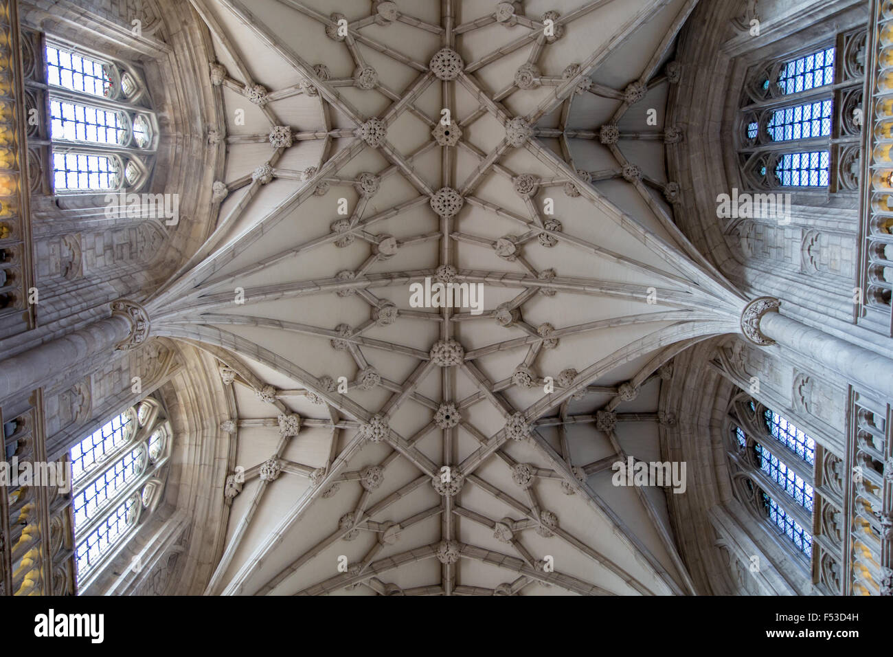 Gewölbte Decke des Kirchenschiffes Winchester Cathedral, Hampshire, England Stockfoto