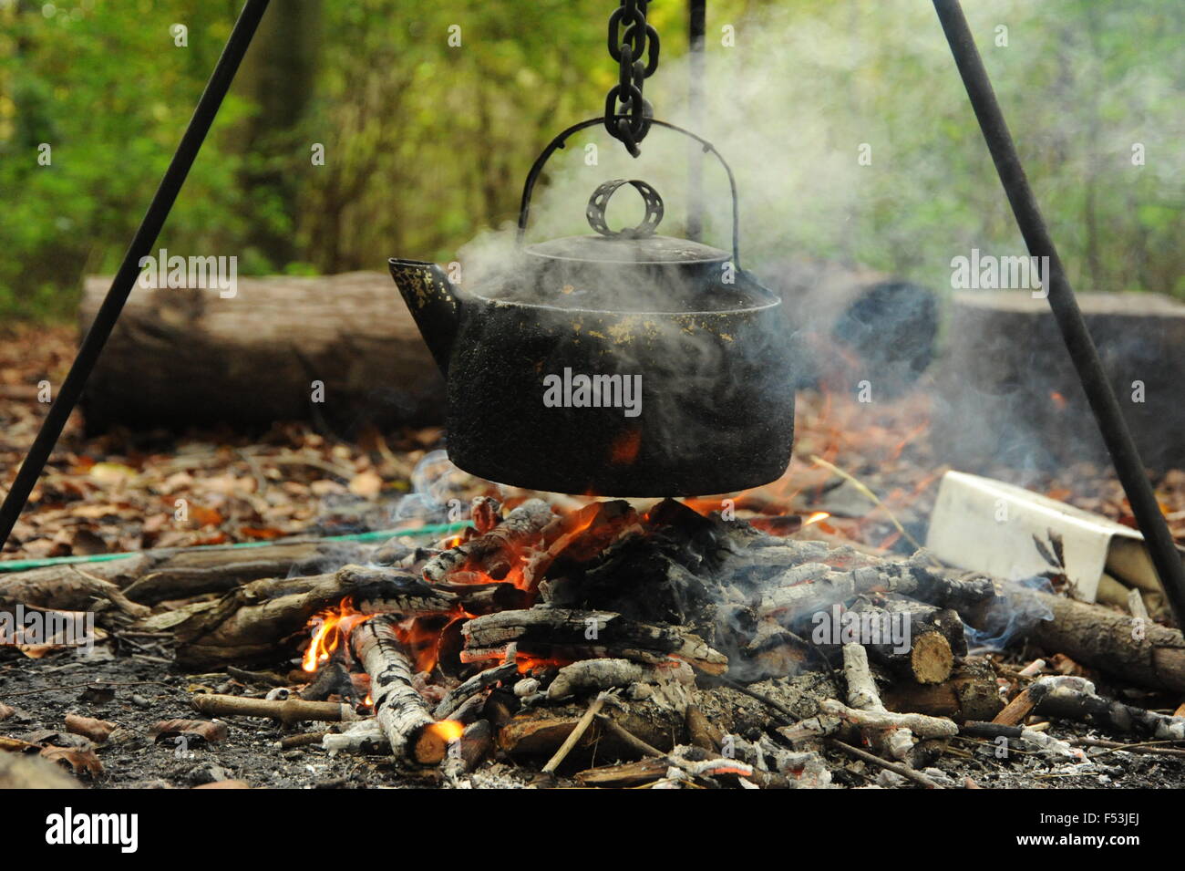 Wasserkocher Kochen über offenem Feuer im Wald Stockfoto