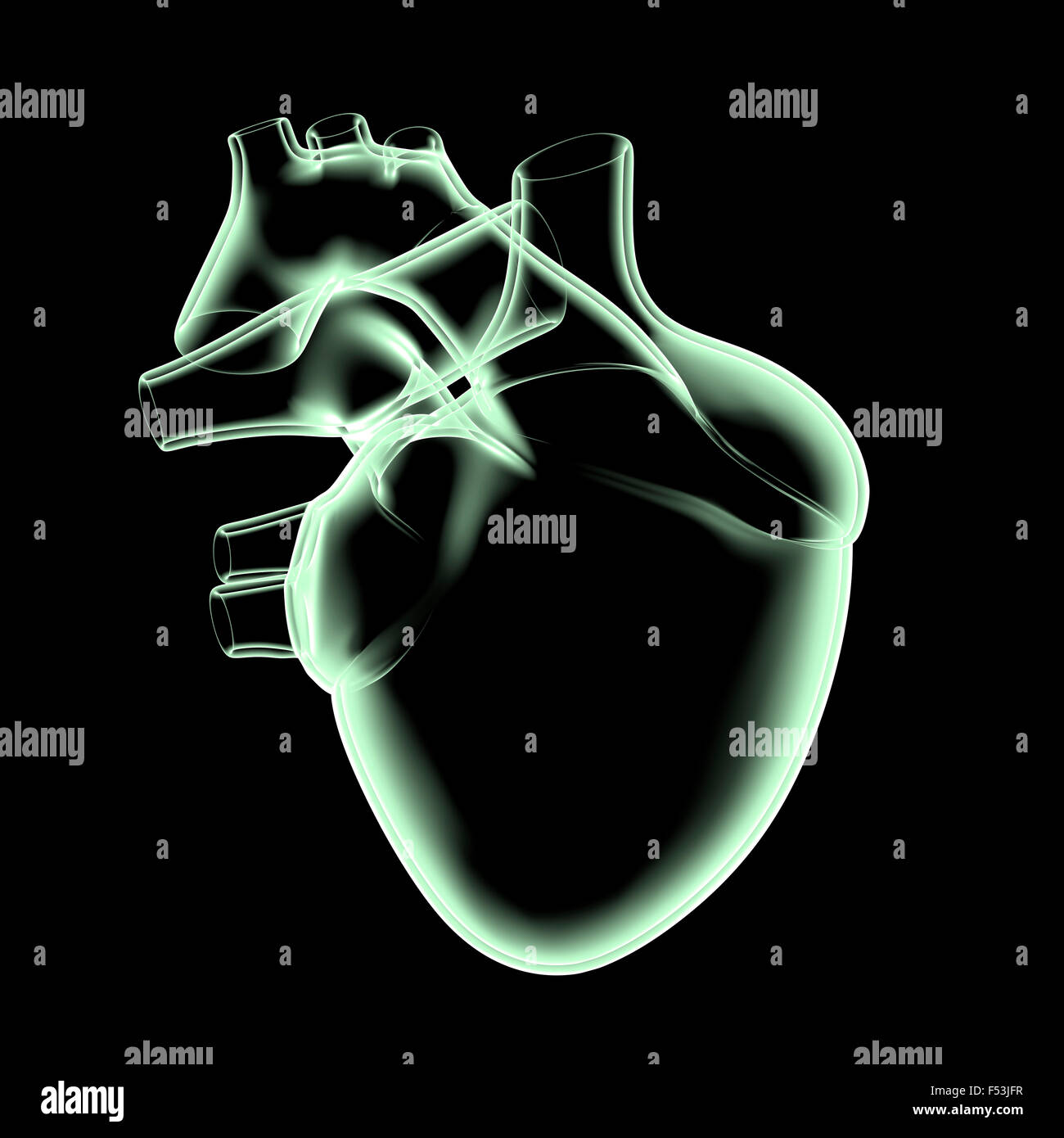 3D, CGI, [M], Symbol, Herz, Medizin, Orgel, Röntgenuntersuchung Stockfoto