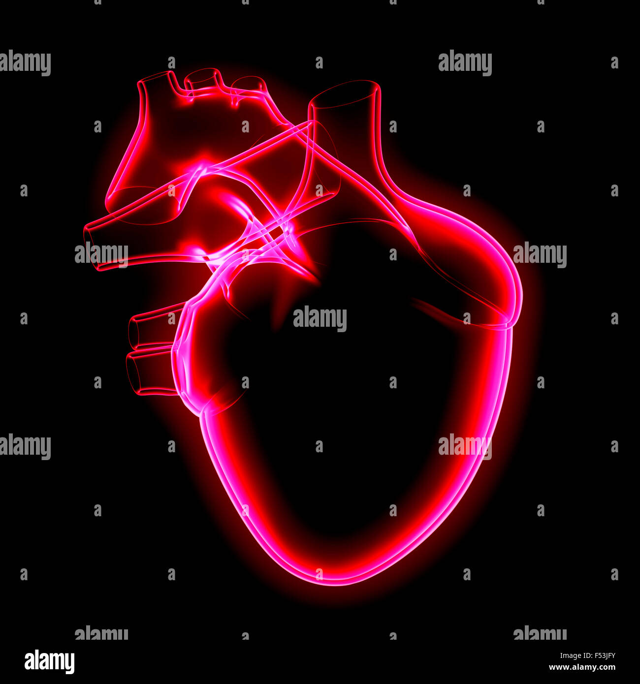 3D, CGI, [M], Symbol, Herz, Medizin, Orgel, Röntgenuntersuchung Stockfoto
