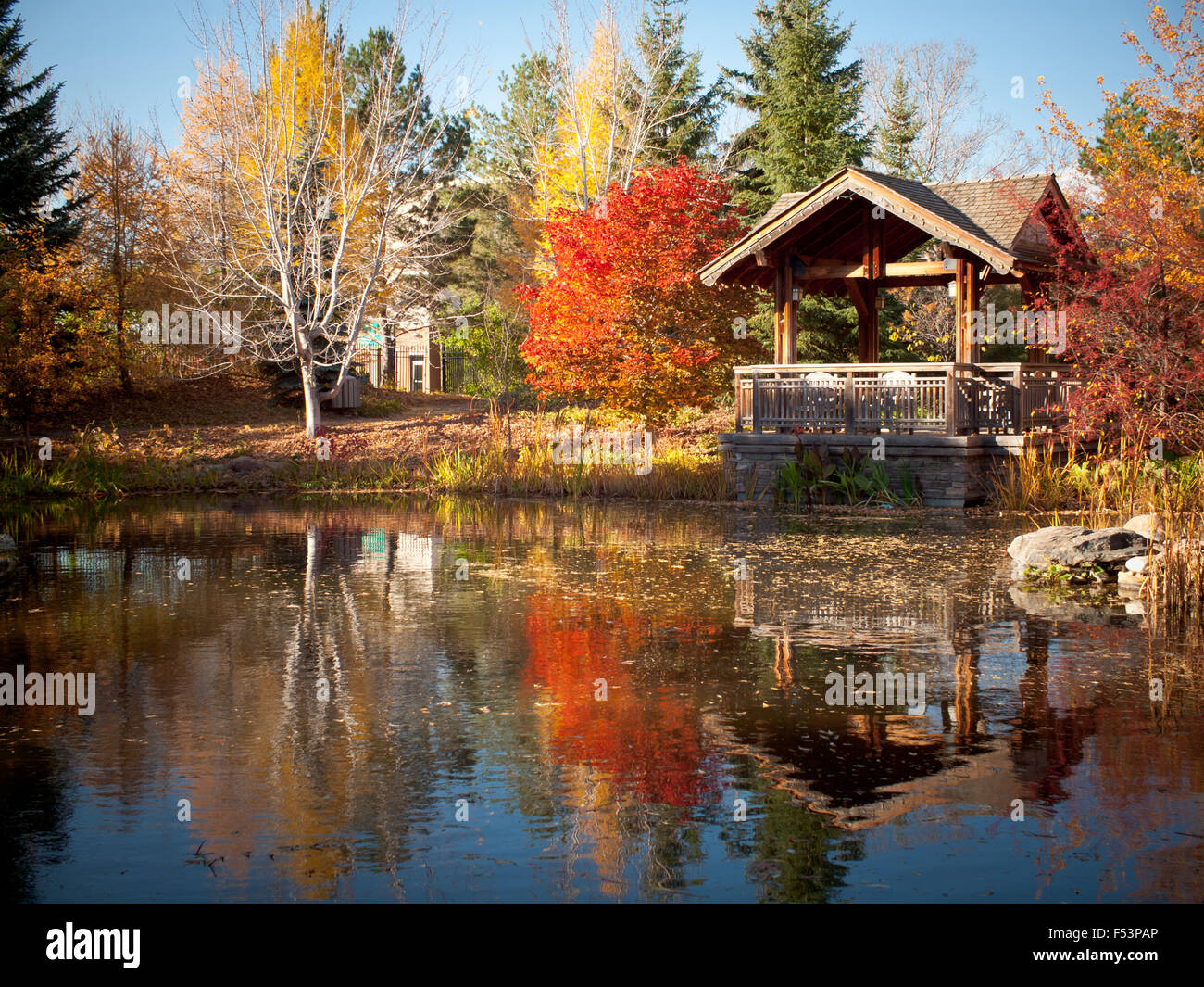 Die überdachten Pavillon und Koi-Teich im Garten Park (Tüftler Public House), Innovation in Saskatoon, Saskatchewan, Kanada statt. Stockfoto