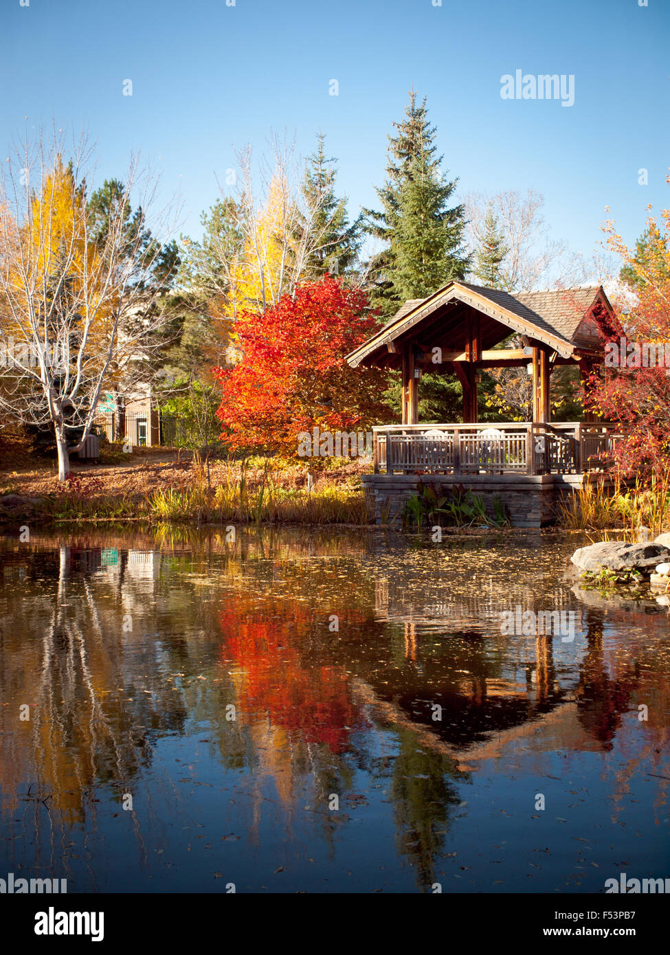 Die überdachten Pavillon und Koi-Teich im Garten Park (Tüftler Public House), Innovation in Saskatoon, Saskatchewan, Kanada statt. Stockfoto