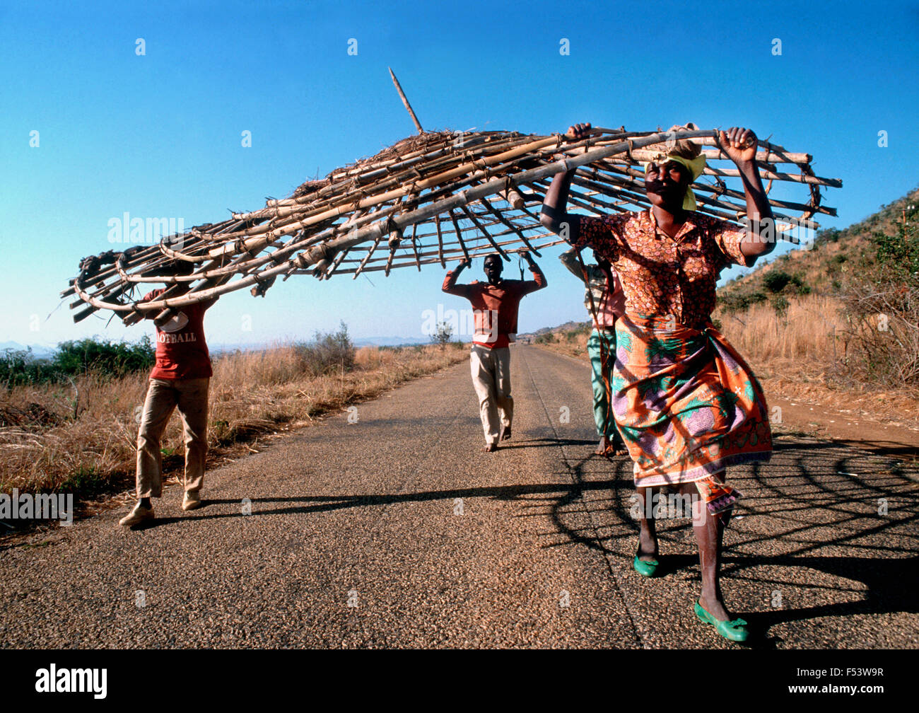 Menschen tragen einen vorgefertigten Dachträger für eine Rundhütte, Mosambik, Provinz Tete. Stockfoto