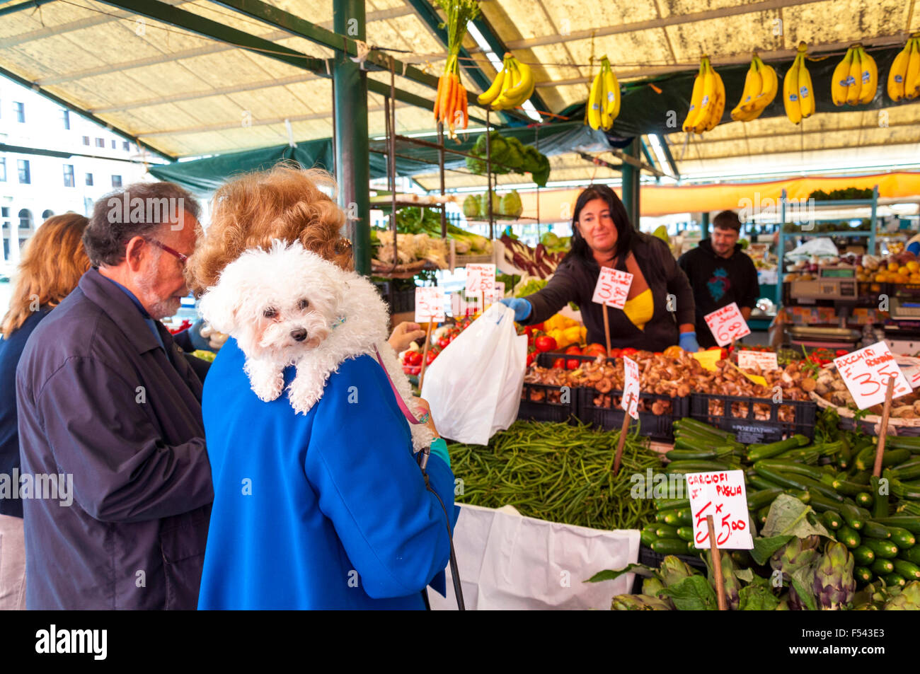 Frau mit Hund auf die Schulter shopping für Obst und Gemüse an die Erberia den pflanzlichen Teil des Mercato di Rialto, Venedig Stockfoto