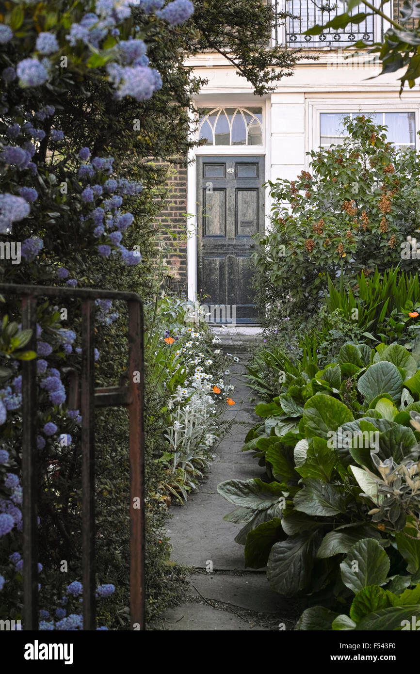 Vorgarten eines georgischen Terrasse Eigentums in Camden Town mit einem etablierten Reife Garten mit Sträuchern und Blumen Stockfoto