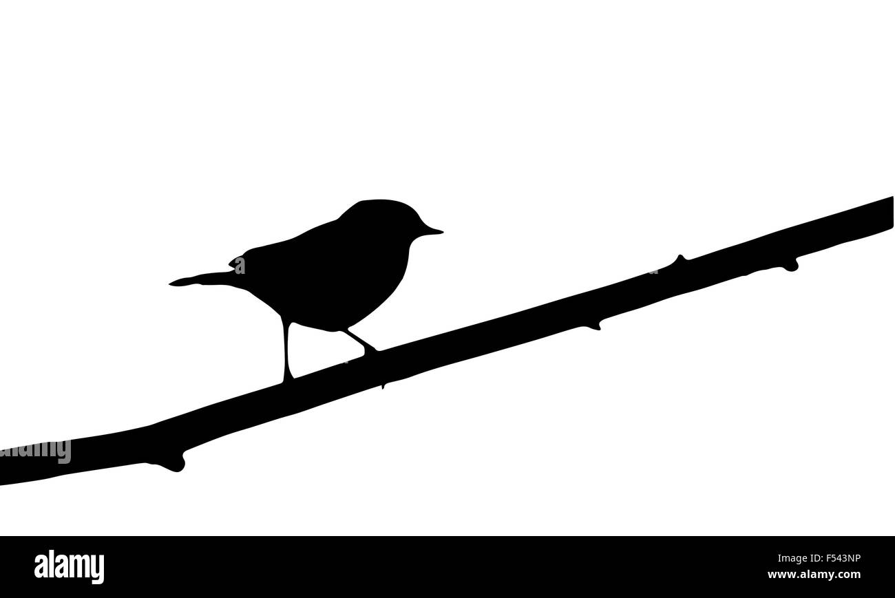 Vogel auf Zweig Stock Vektor