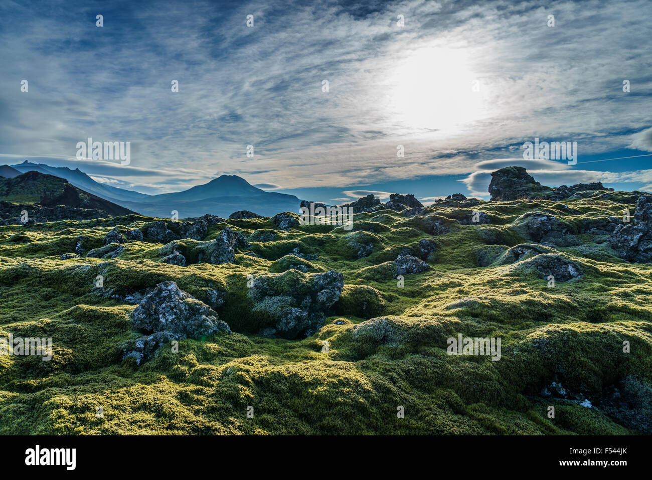 Lava und Moos Landschaft, Berserkjahraun, Snaefellsnes Halbinsel, Island Stockfoto
