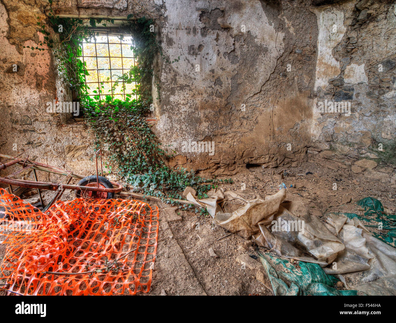 Natur, die Rückeroberung verlassenen alten Kellers. Ivy. Stockfoto