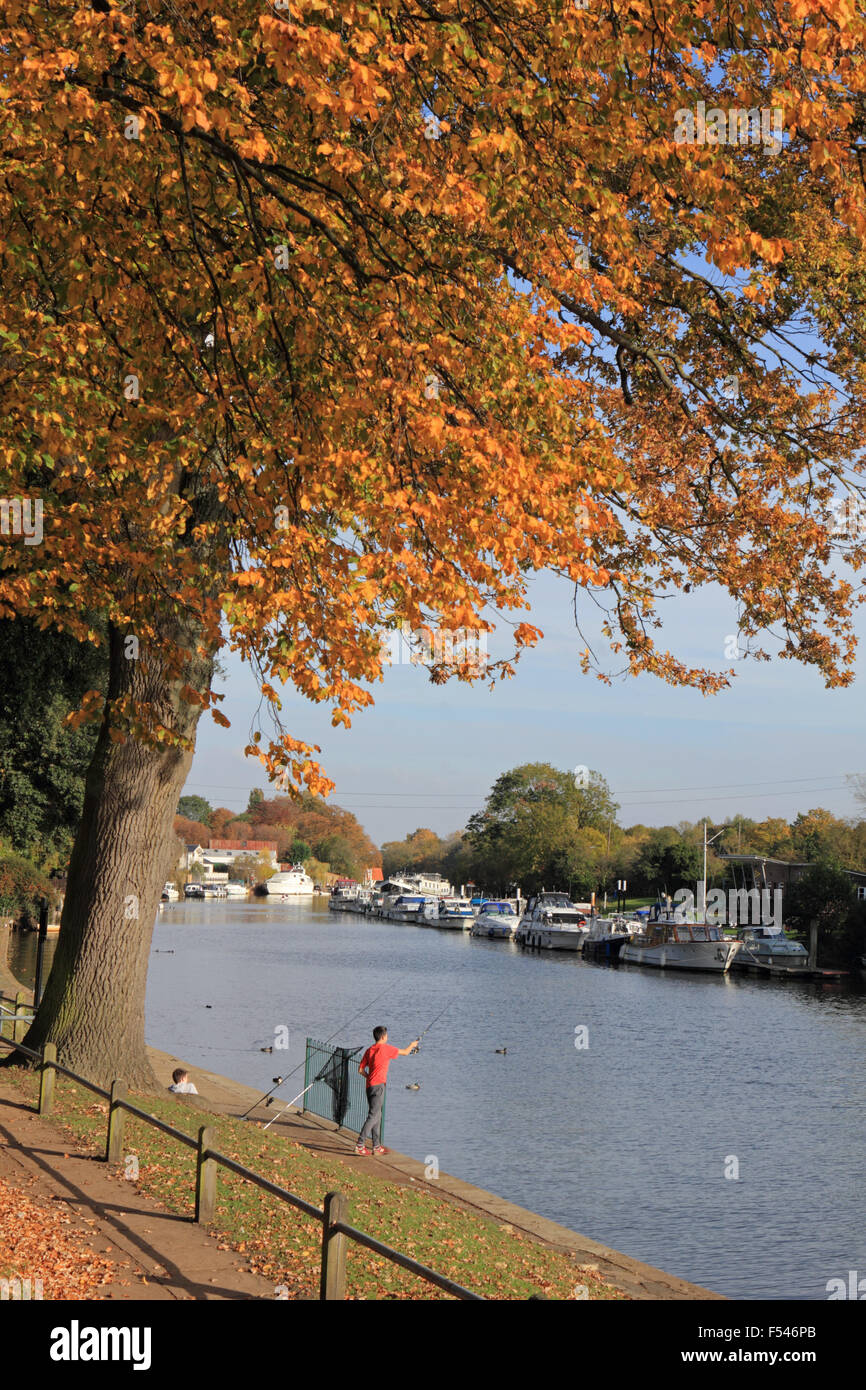 Sunbury on Thames, Surrey, UK. 27. Oktober 2015. Einen Nachmittag voller Sonnenschein im Südosten Englands mit blauem Himmel und Temperaturen bis zu einem lauen 19 Grad. Angeln an der Themse in Sunbury, wo die Bäume einen warmen goldenen Schimmer von Herbstfarben sind, jungen. Bildnachweis: Julia Gavin UK/Alamy Live-Nachrichten Stockfoto