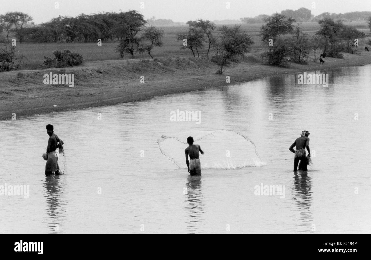 Die Männer, die mit den Netzen im Fluss im Staat Orissa an der Ostküste Indiens fischen - 1992 Stockfoto