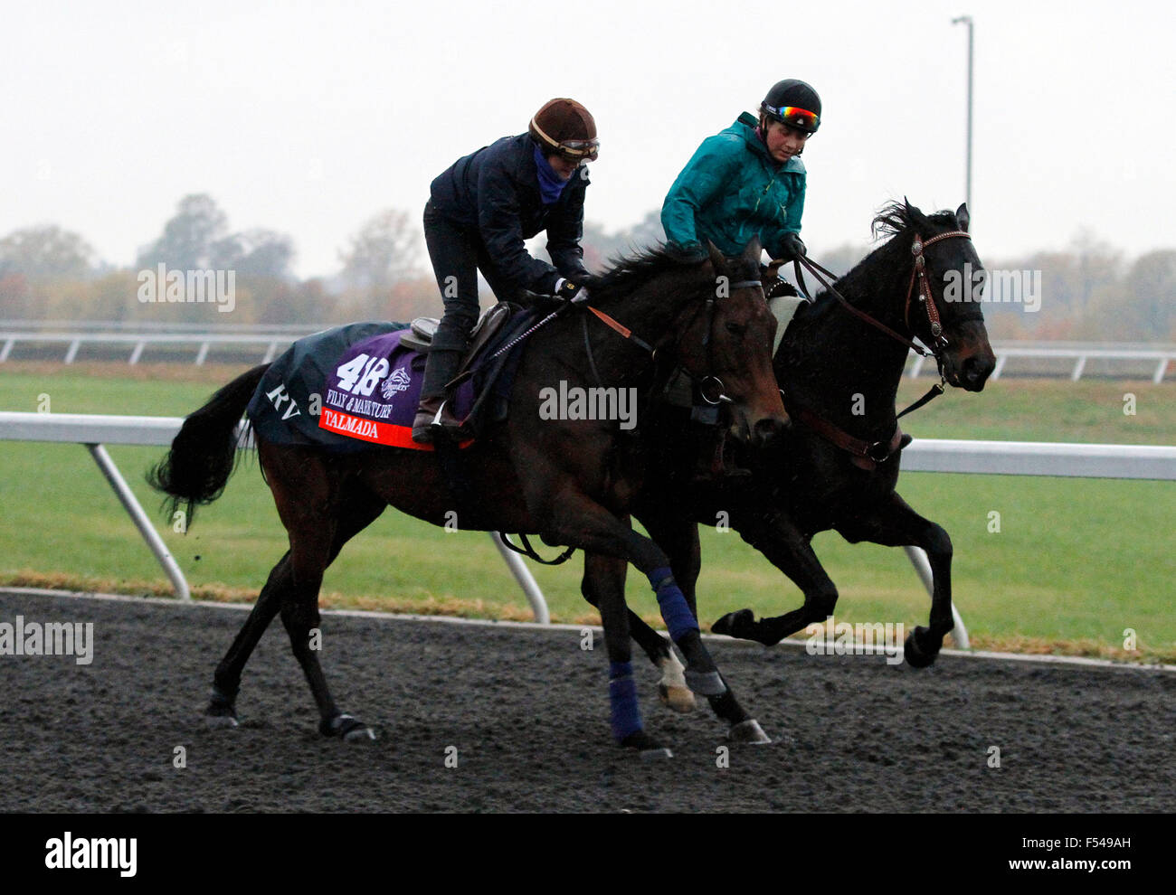 Lexington, KY, USA. 27. Oktober 2015. 27. Oktober 2015: Talmada von Roger Varian, im Besitz von Scheich Ahmed bin Rashid al Maktoum, trainiert wird in des Züchters Cup Filly & Mare Turf $2.000.000 eingetragen. Candice Chavez/ESW/CSM/Alamy Live-Nachrichten Stockfoto