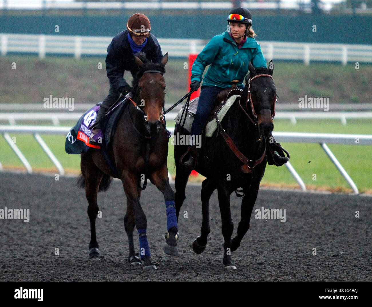 Lexington, KY, USA. 27. Oktober 2015. 27. Oktober 2015: Talmada von Roger Varian, im Besitz von Scheich Ahmed bin Rashid al Maktoum, trainiert wird in des Züchters Cup Filly & Mare Turf $2.000.000 eingetragen. Candice Chavez/ESW/CSM/Alamy Live-Nachrichten Stockfoto