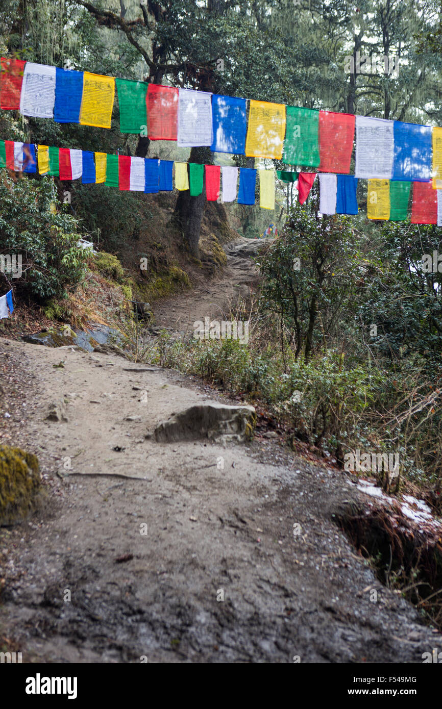 Bunten Gebetsfahnen auf Weg zur Tiger Nest Kloster in der Nähe von Paro, Bhutan Stockfoto