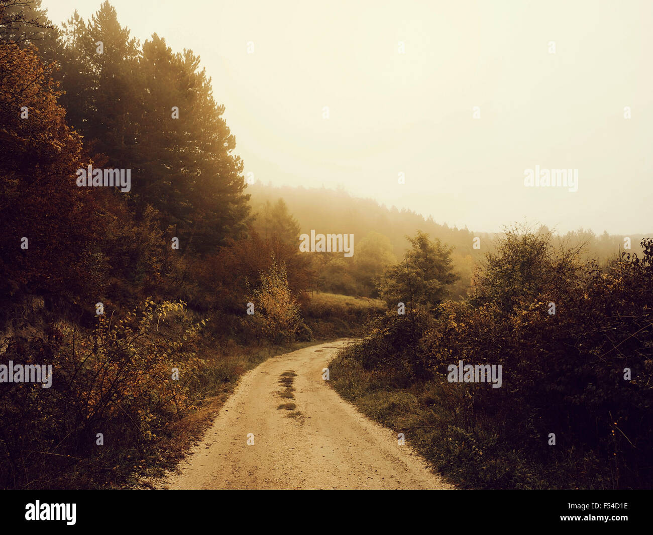 Herbst-Straße Stockfoto