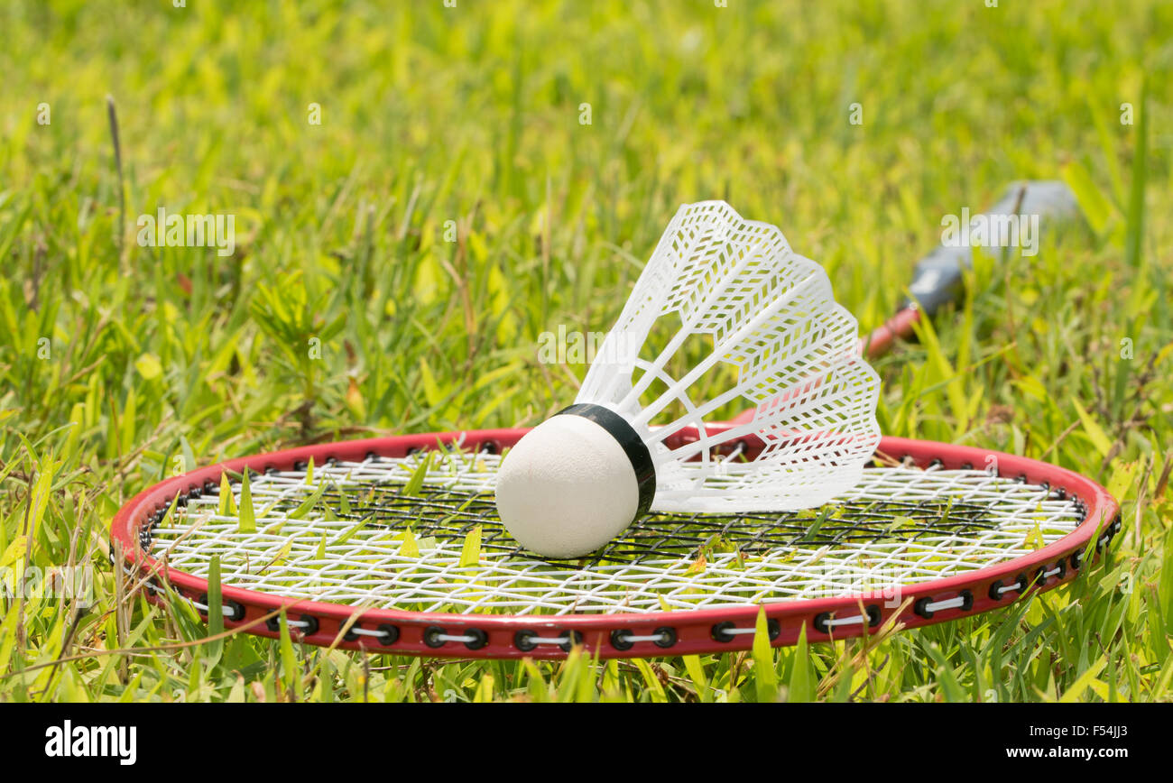 Badminton-Schläger mit einem Federball im Sommer Rasen an der Spitze Stockfoto