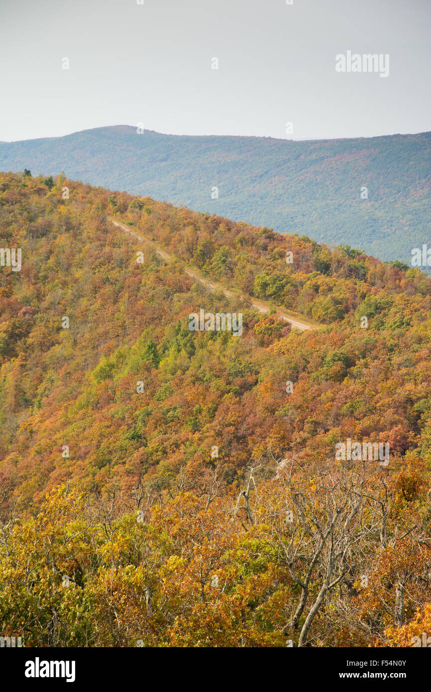 Talimena scenic Byway laufen auf dem Kamm des Berges, mit Bäumen in Herbstfarben Stockfoto