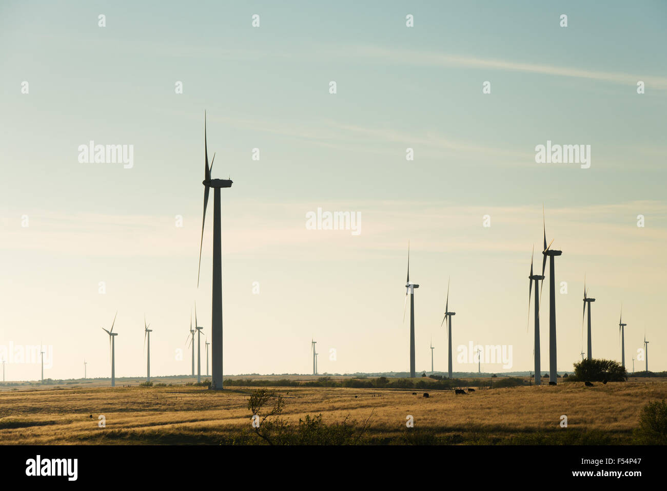 Silhouetten von Windmühlen in einer ländlichen Gegend gegen späten Nachmittag Himmel Stockfoto