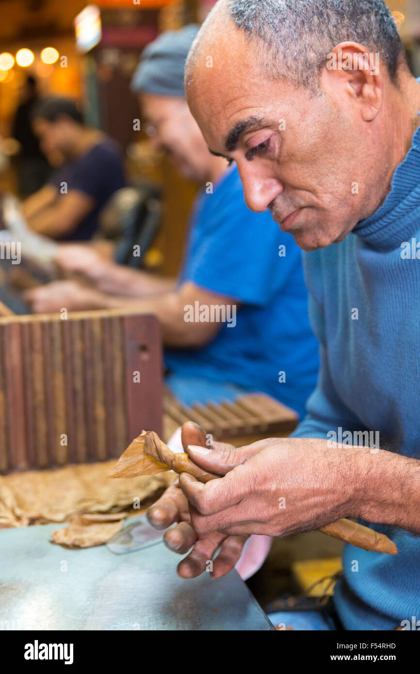 Rollen die handgerollte Zigarren lange Tabakblätter in Zigarrenfabrik, Decatur Street, French Quarter von New Orleans, USA Stockfoto