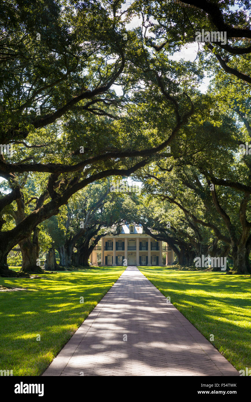 Eiche Alley Plantation antebellum Herrenhaus und Live Oak Bäume im Mississippi-Delta bei Vacherie, Louisiana, USA Stockfoto