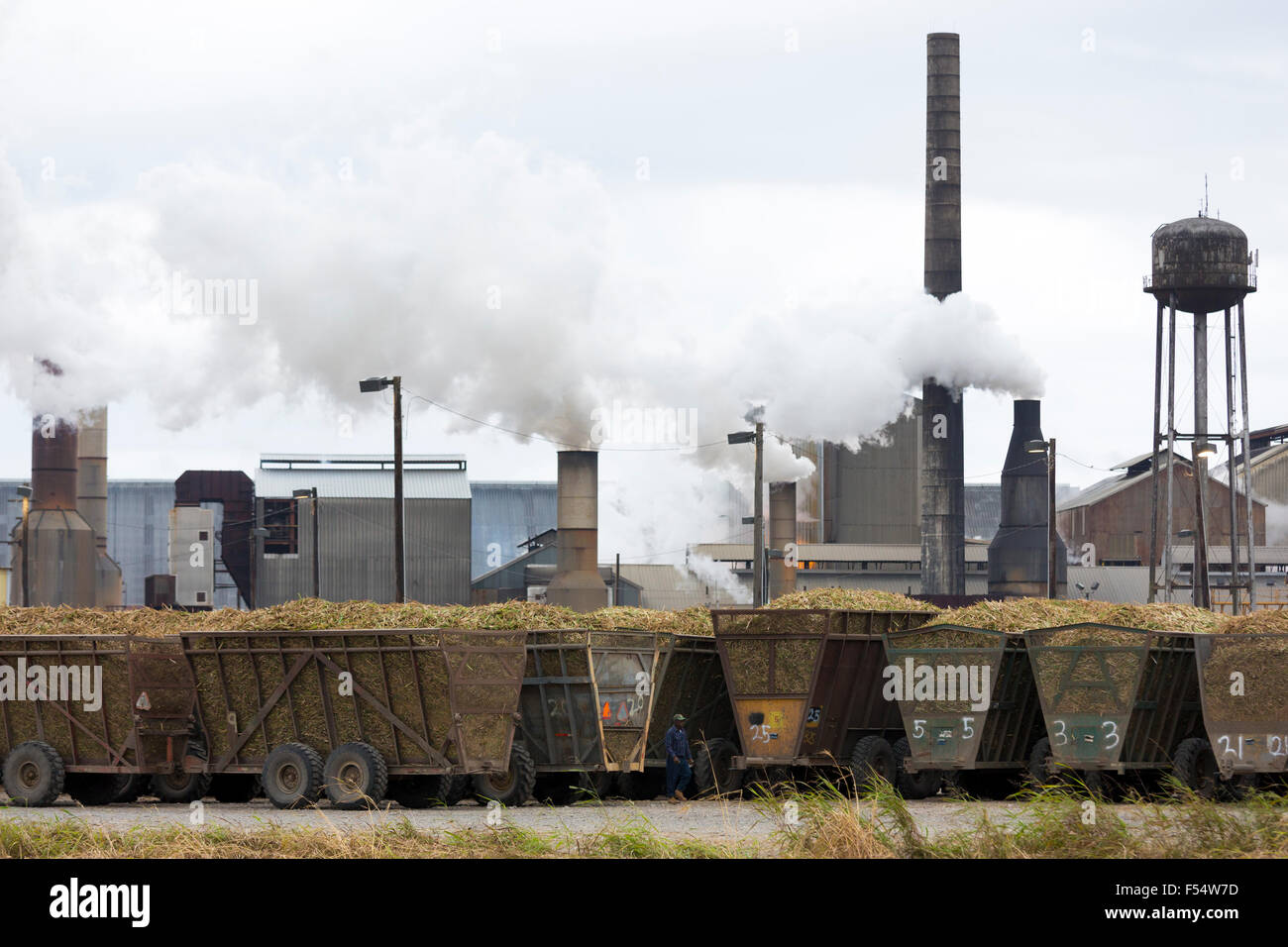 Zuckerrohr-Produktionsfabrik St Mary Zucker Cooperative Sugar Mill Verarbeitung roher Zucker in Jeanerette, Louisiana, USA Stockfoto