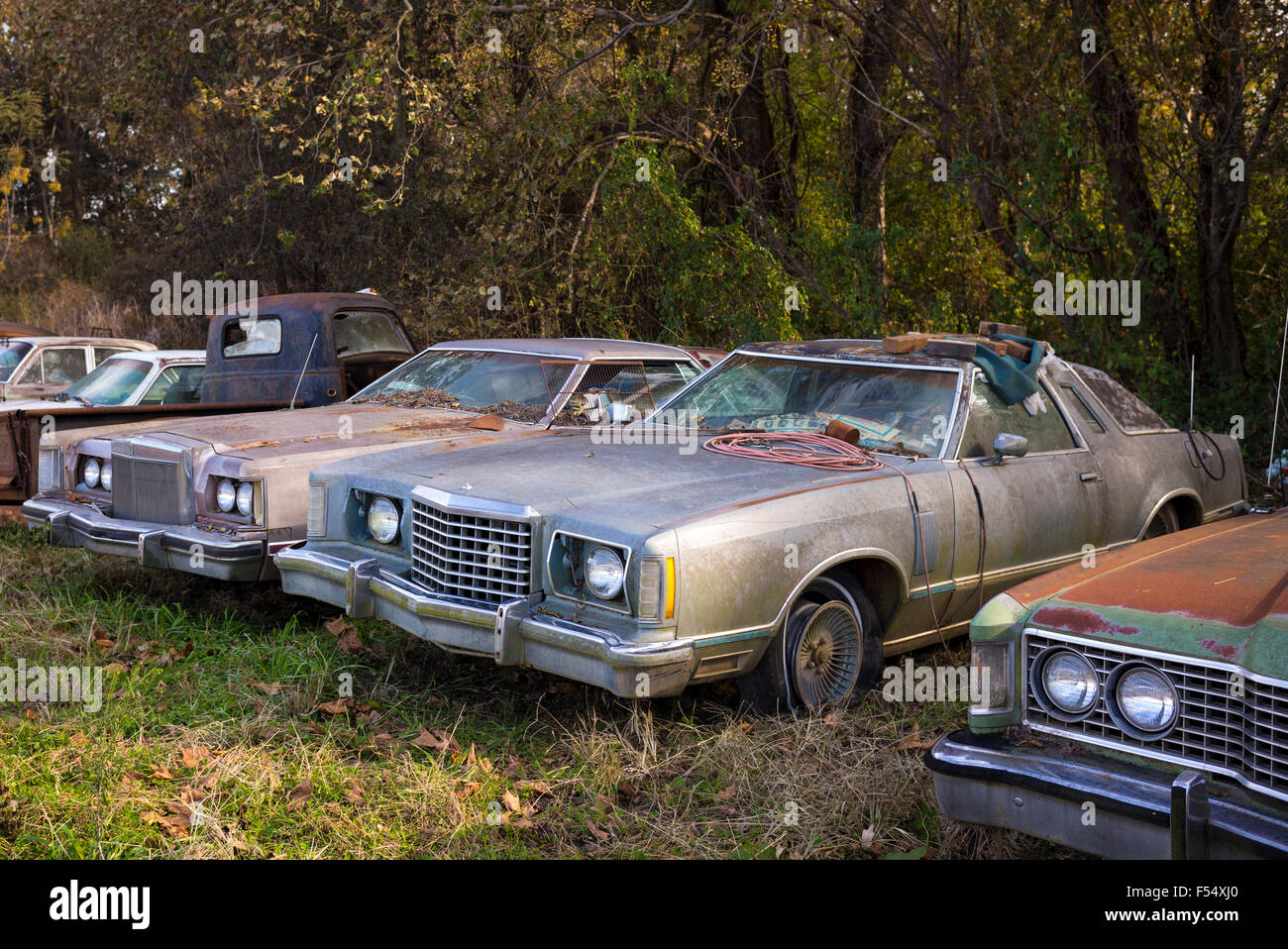 Ford Auto Limousinen im Friedhof der verlassenen rostige alte amerikanische Automobile Gas Guzzlers, MIssissippi, Louisiana, USA Stockfoto