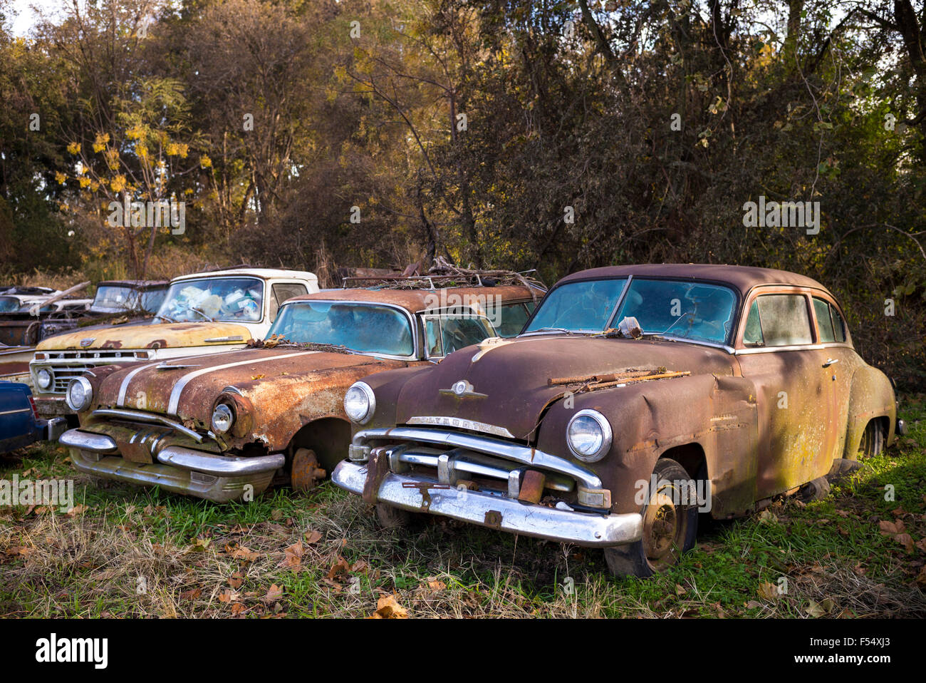 Plymouth und Pontiac Auto Limousinen Friedhof der verlassenen rostige alte amerikanische Automobile Gas Guzzlers, MIssissippi, Louisiana, USA Stockfoto