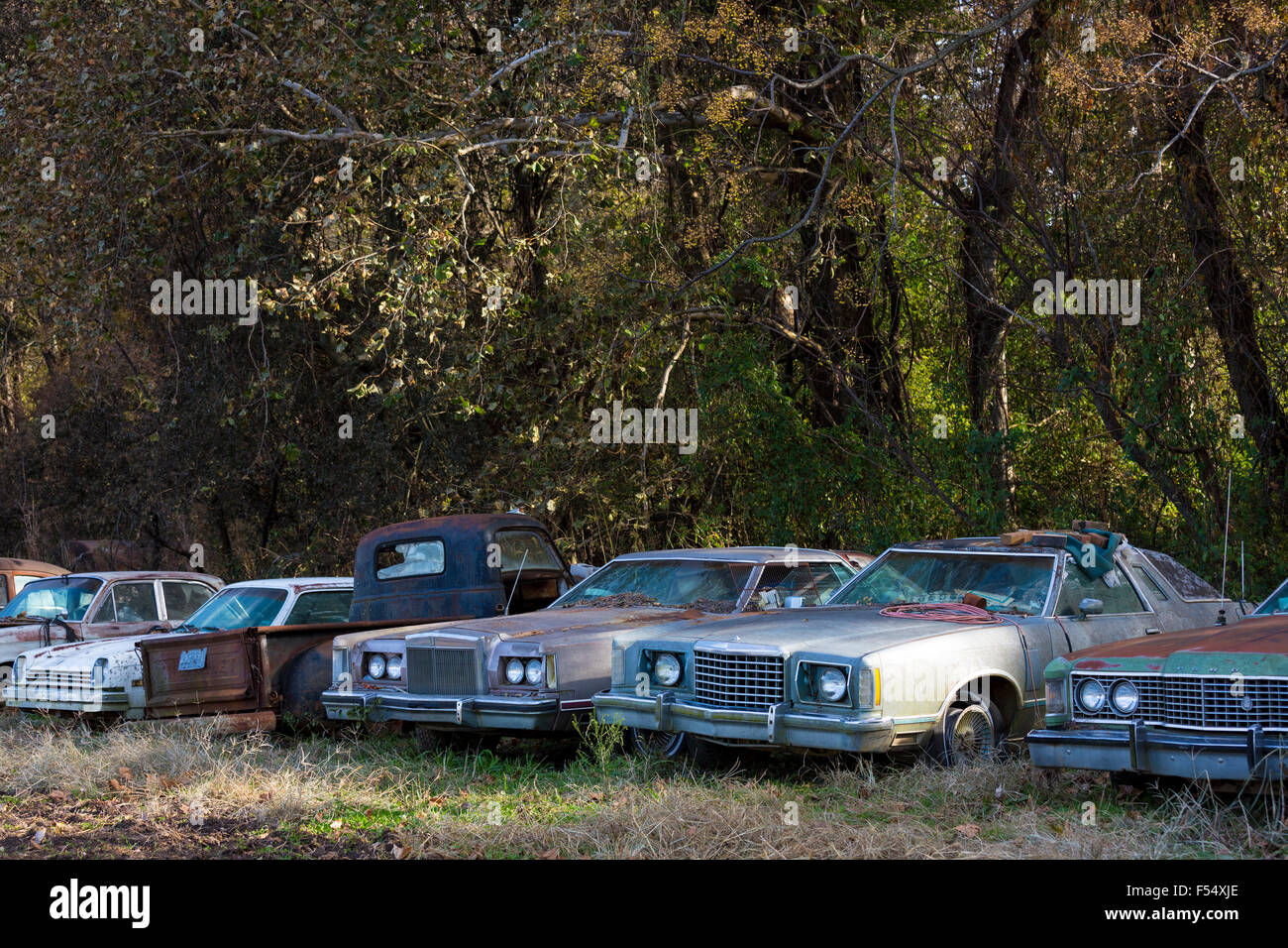 Ford, Chevvie, Pontiac, Dodge Auto Limousinen im Friedhof der verlassenen rostigen alten amerikanischen Autos Gas Guzzlers, Mississippi, USA Stockfoto