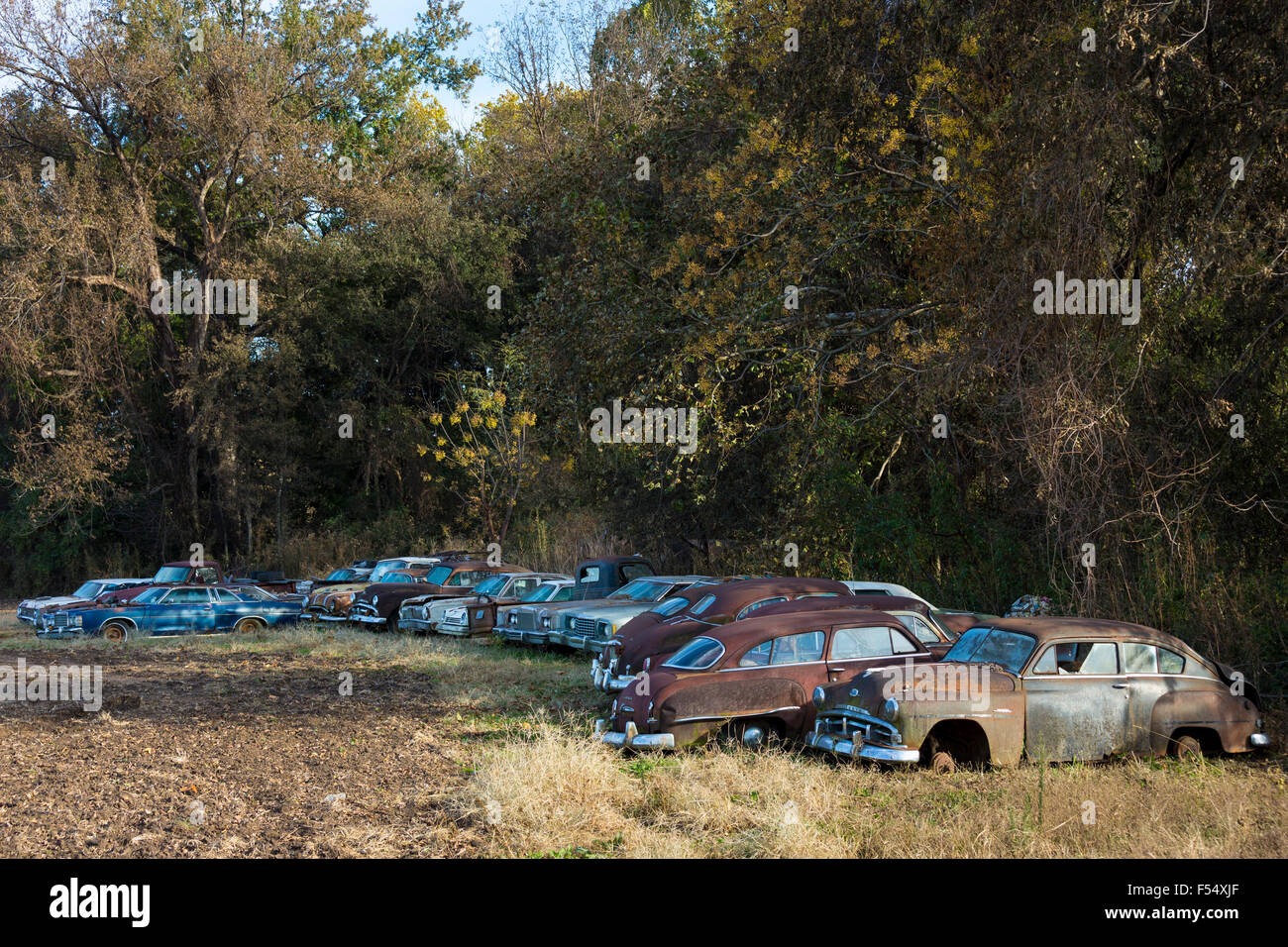 Ford, Chevvie, Pontiac, Dodge Auto Limousinen im Friedhof der verlassenen rostigen alten amerikanischen Autos Gas Guzzlers, Mississippi, USA Stockfoto