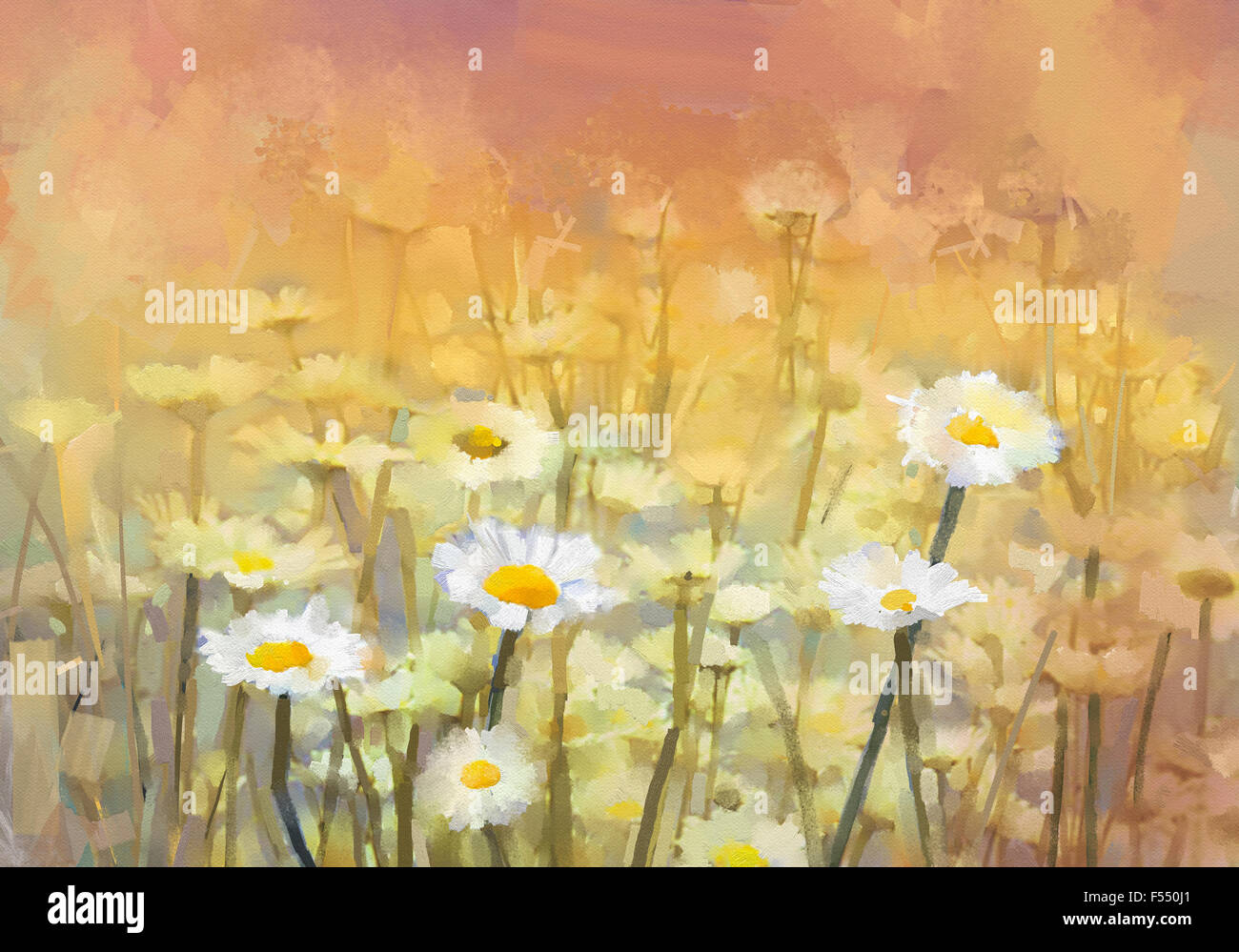 Ölgemälde Daisy-Kamille Blumen Feld bei Sonnenaufgang. Vintage Blumen weiße Blume Gänseblümchen auf der Wiese. Frühlings-Saison-Hintergrund Stockfoto