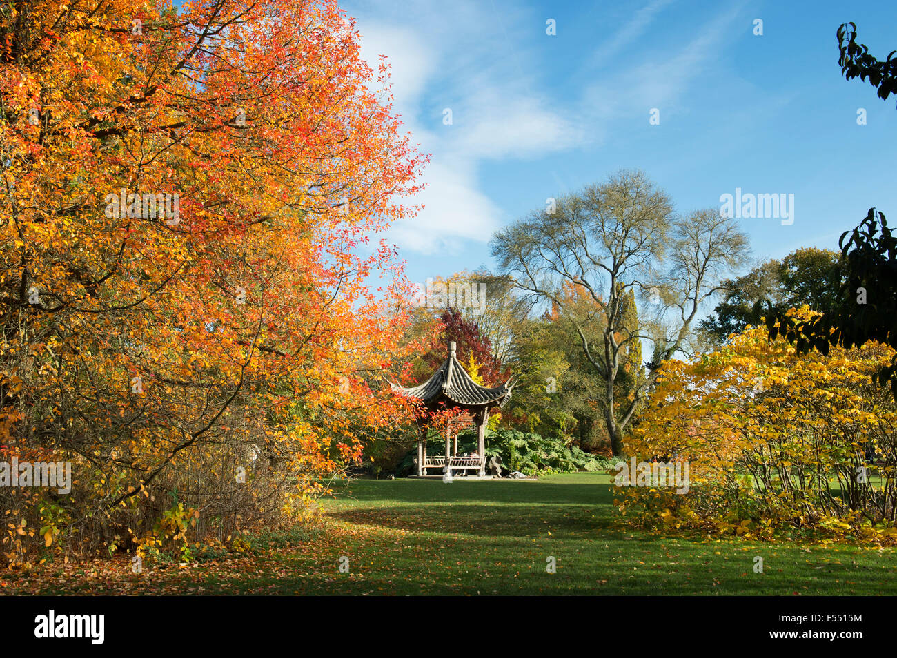Chinesische Pagode in der RHS Wisley Gardens im Herbst. Surrey, England Stockfoto