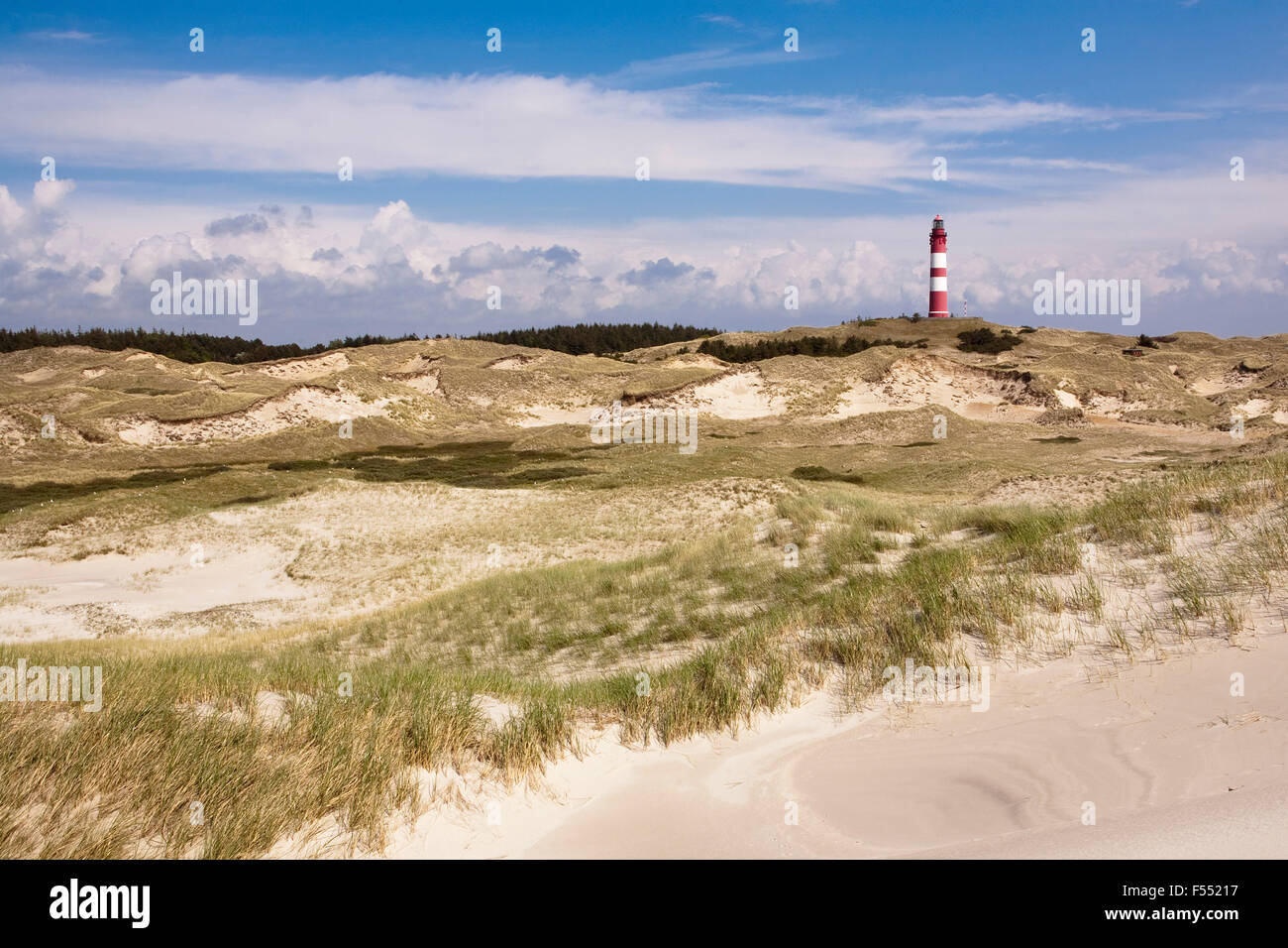 DEU, Deutschland, Schleswig-Holstein, Nordsee, Insel Amrum, der Leuchtturm in Sueddorf, genannt der große Amrumer.  DEU, Deutschl Stockfoto