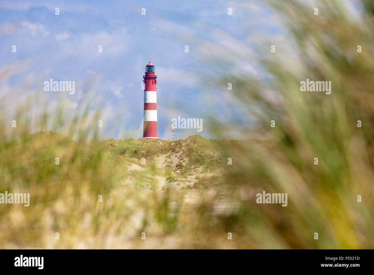 DEU, Deutschland, Schleswig-Holstein, Nordsee, Insel Amrum, der Leuchtturm in Sueddorf, genannt der große Amrumer.  DEU, Deutschl Stockfoto