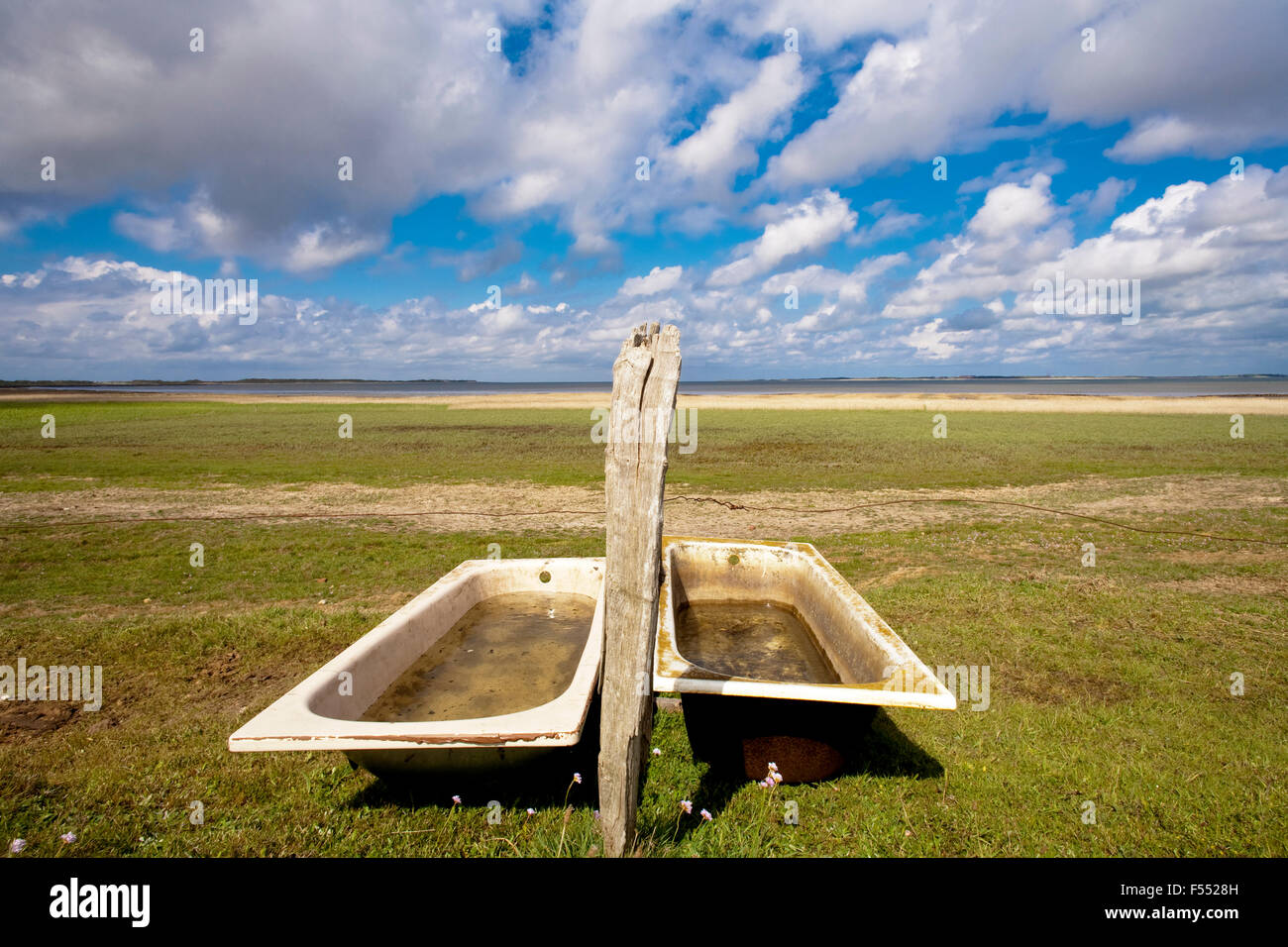 DEU, Deutschland, Schleswig-Holstein, Nordsee, Amrum Insel, Wiesen auf das Wattenmeer an der Ostküste der Insel in der Nähe von Norddo Stockfoto