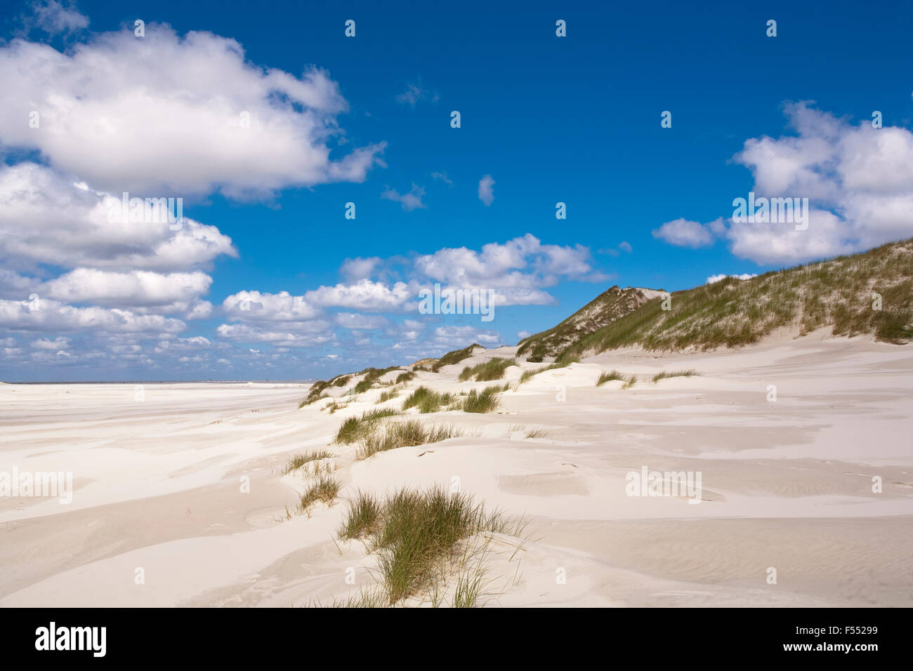 DEU, Deutschland, Schleswig-Holstein, Nordsee, Insel Amrum, am Strand Kniepsands in Sueddorf.  DEU, Deutschland, Schleswig-Hol Stockfoto