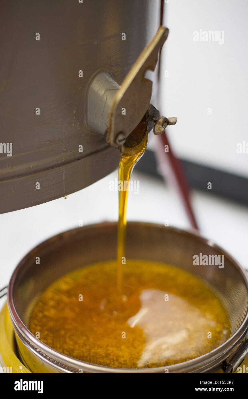 Nahaufnahme von frischen Honig in Behälter gegossen Stockfoto