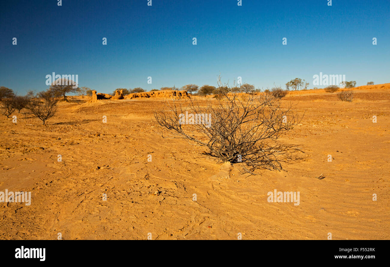 Ausgewaschene rote karge Wüstenlandschaft mit Toter Strauch im Vordergrund im Outback Australien während Dürre unter blauem Himmel Stockfoto