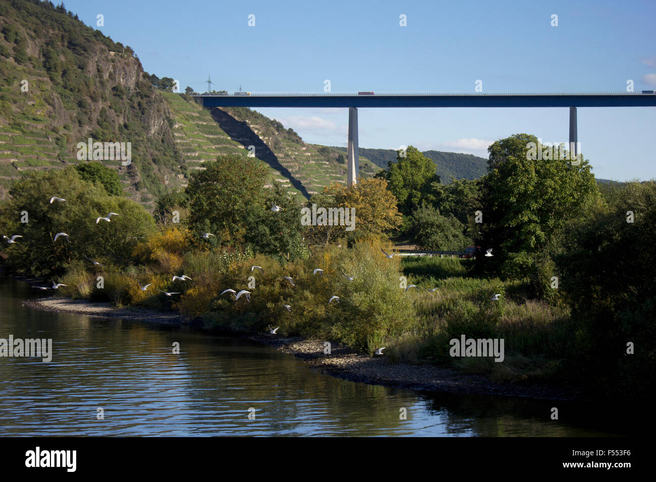 Moderne Brücke über die Mosel, mit Weinbergen im Hintergrund. Stockfoto