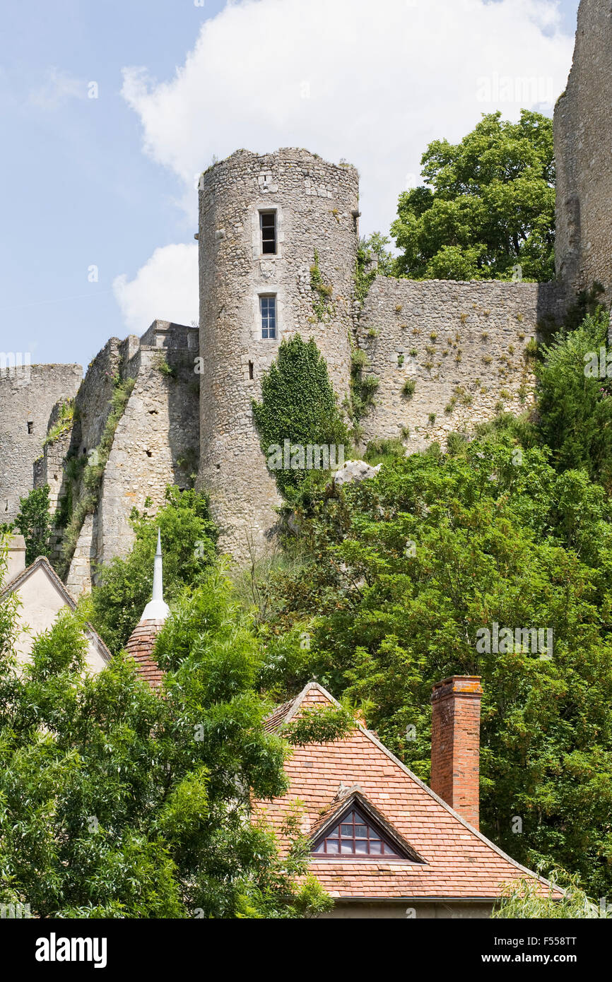 Burgruine am Winkel Sur l'Anglin, Vienne, Frankreich. Stockfoto