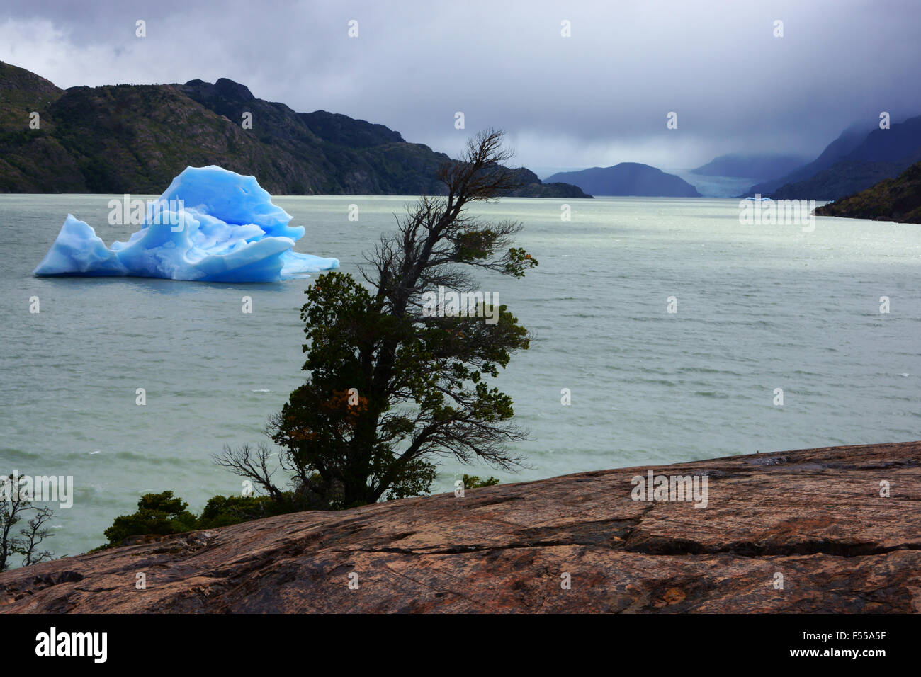 Lago Grey mit Eisberg, Torres del Paine Nationalpark, Patagonien, Chile Stockfoto