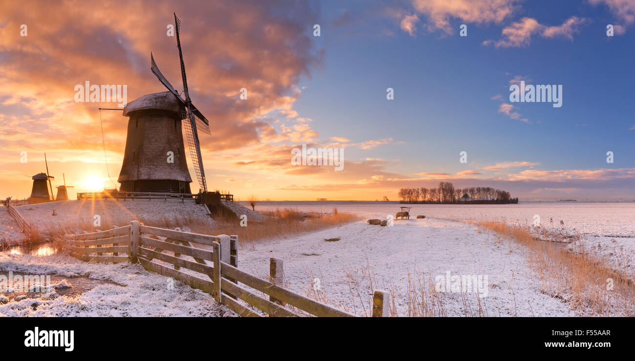 Traditionelle holländische Windmühlen an einem schönen Wintermorgen bei Sonnenaufgang. Stockfoto