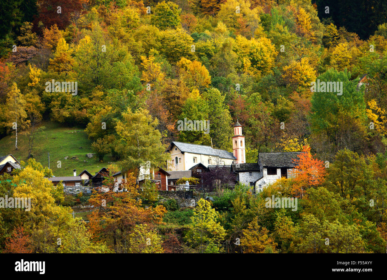 Dorf Camonoi, Val Rovana, Valle Maggia, Tessin, Schweiz Stockfoto