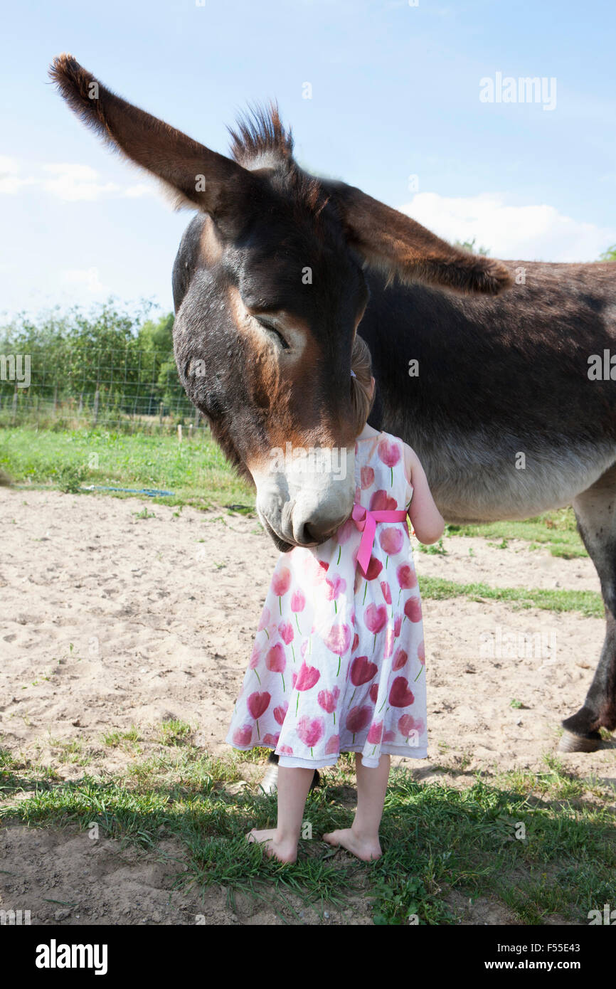 Rückansicht des Mädchen mit Esel Maultier auf Feld steht Stockfoto