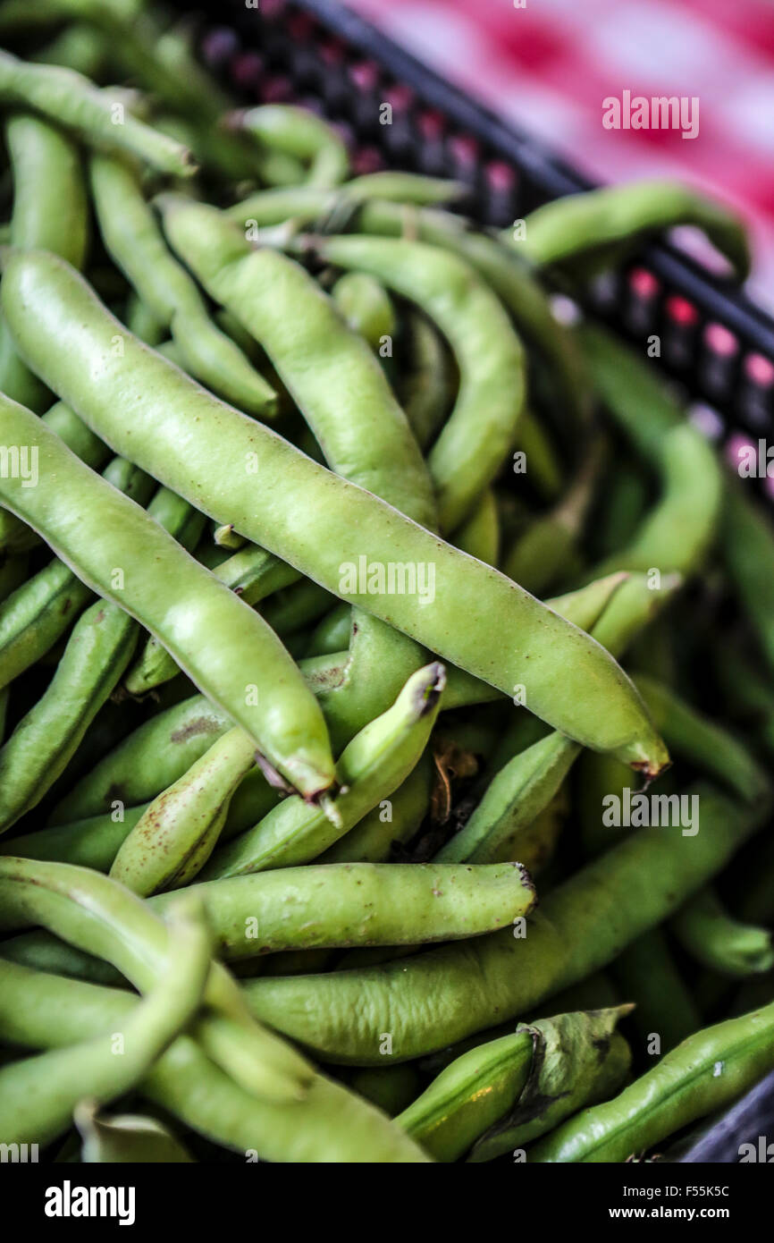 Rohe grüne Bohnen im pod Stockfoto