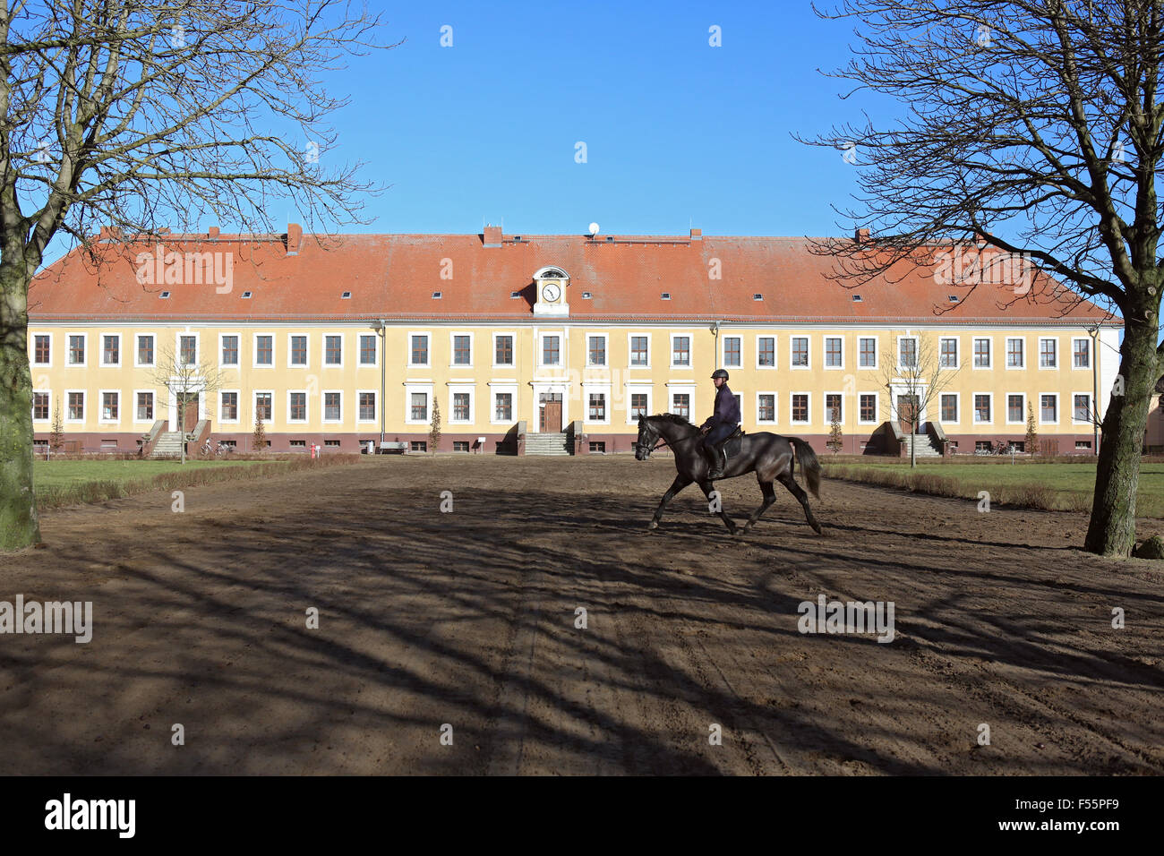 24.02.2015, Neustadt (Dosse), Brandenburg, Deutschland - Blick auf das alte Verwaltungsgebäude der Brandenburger Haupt- und Landgestuet. 00S150224D312CAROEX. JPG - nicht für den Verkauf in G E R M A N Y, A U S T R I A S W I T Z E R L A N D [MODEL-RELEASE: Nein, PROPERTY-RELEASE: kein (C) Caro Fotoagentur / Sorge, http://www.caro-images.pl, info@carofoto.pl - bei der Verwendung von des Bilds nicht-journalistischen Zwecken kontaktieren Sie bitte die Agentur - das Bild unterliegt GEMA!] Stockfoto