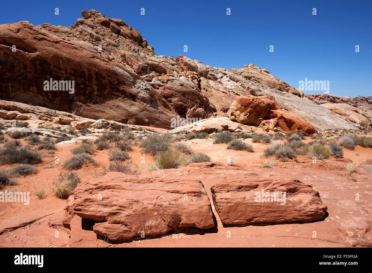 Farbigen Sandstein-Formationen im Rainbow Vista Valley of Fire State Park, Nevada, USA Stockfoto