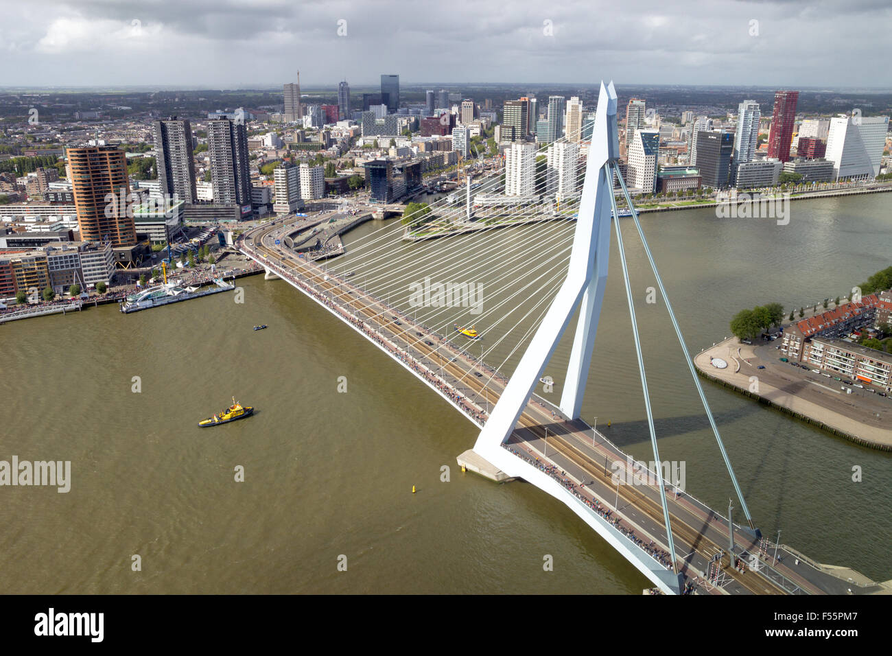 Luftbild auf der Erasmus-Brücke und die Innenstadt von Rotterdam. Stockfoto