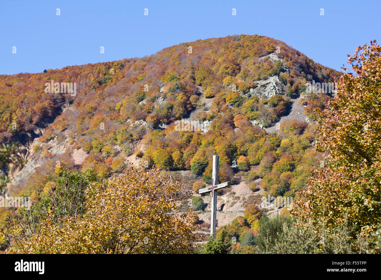 Montseny Naturpark im Herbst mit allen Farben der Bäume in Katalonien (Spanien). Stockfoto