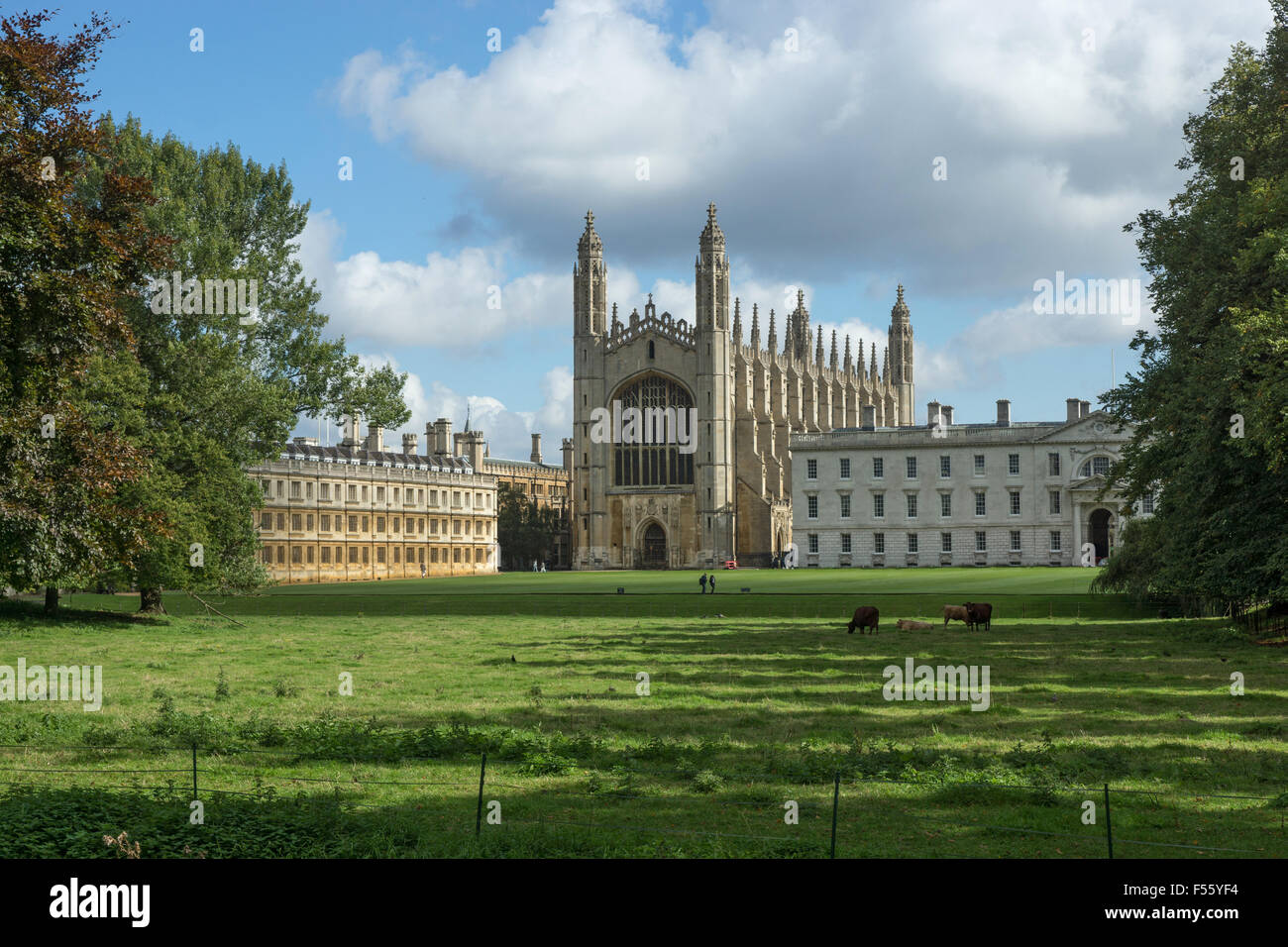 Kings College Cambridge Stockfoto